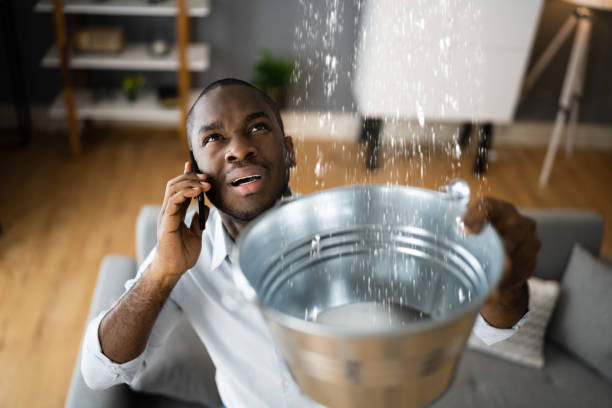Best Water damage restoration near me  in Bluffdale, UT
