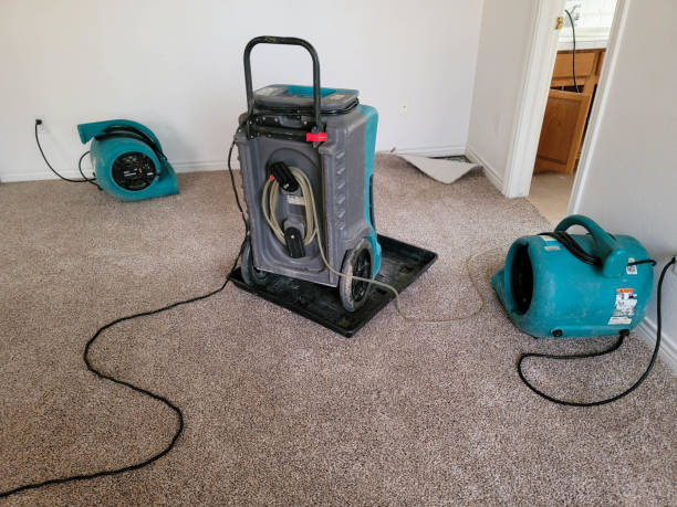 Sewage cleanup and water damage restoration in Bluffdale, UT