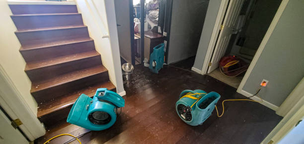 Best Flood damage cleanup  in Bluffdale, UT