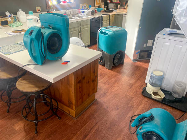 Best Mold removal after water damage  in Bluffdale, UT