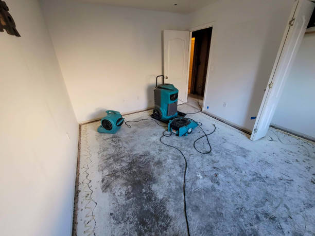Best Water damage contractors near me  in Bluffdale, UT