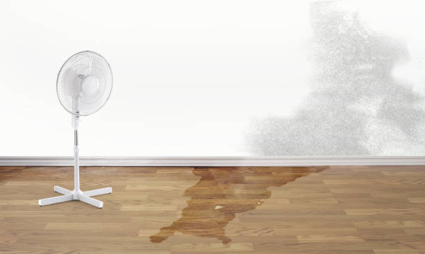  Bluffdale, UT Water damage restoration Pros