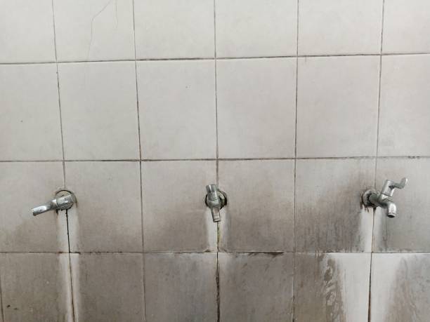 Best Carpet water damage restoration  in Bluffdale, UT