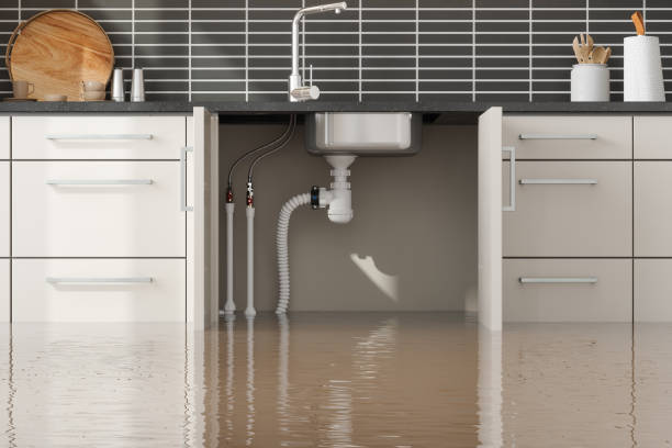 Best Fire Damage Restoration  in Bluffdale, UT