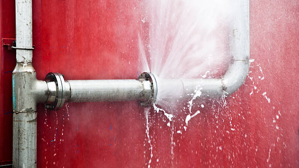 Best Flood restoration services  in Bluffdale, UT
